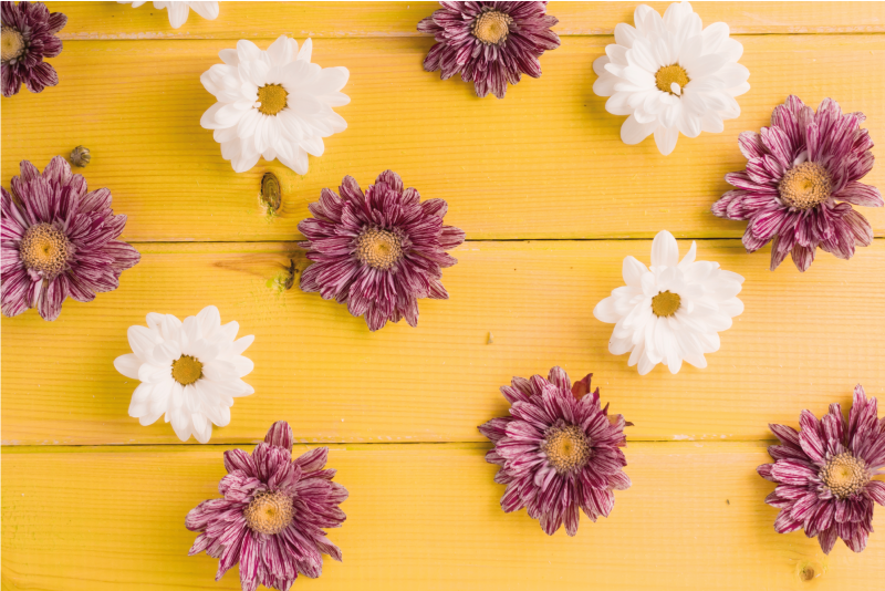 λουλούδια μαργαρίτας σε ξύλινη σανίδα από χαλί - TenStickers