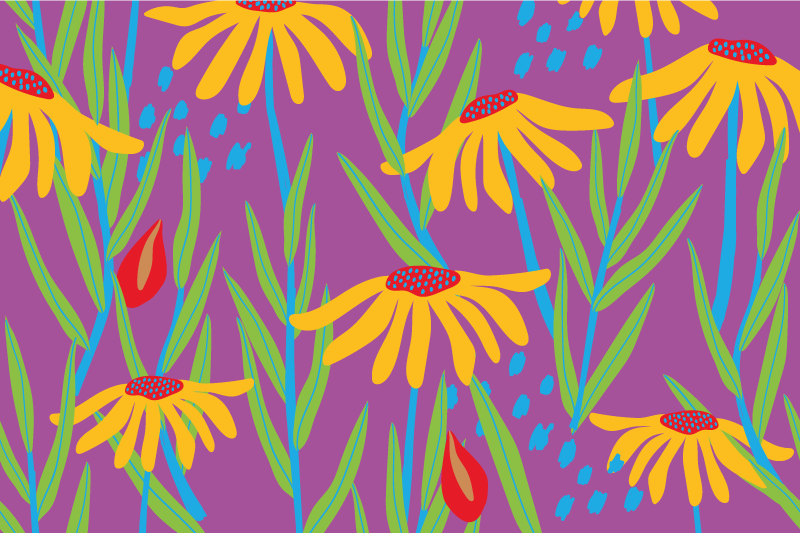 πολύχρωμα λουλούδια μαργαρίτα σιλουέτα λουλουδάτο χαλί - TenStickers