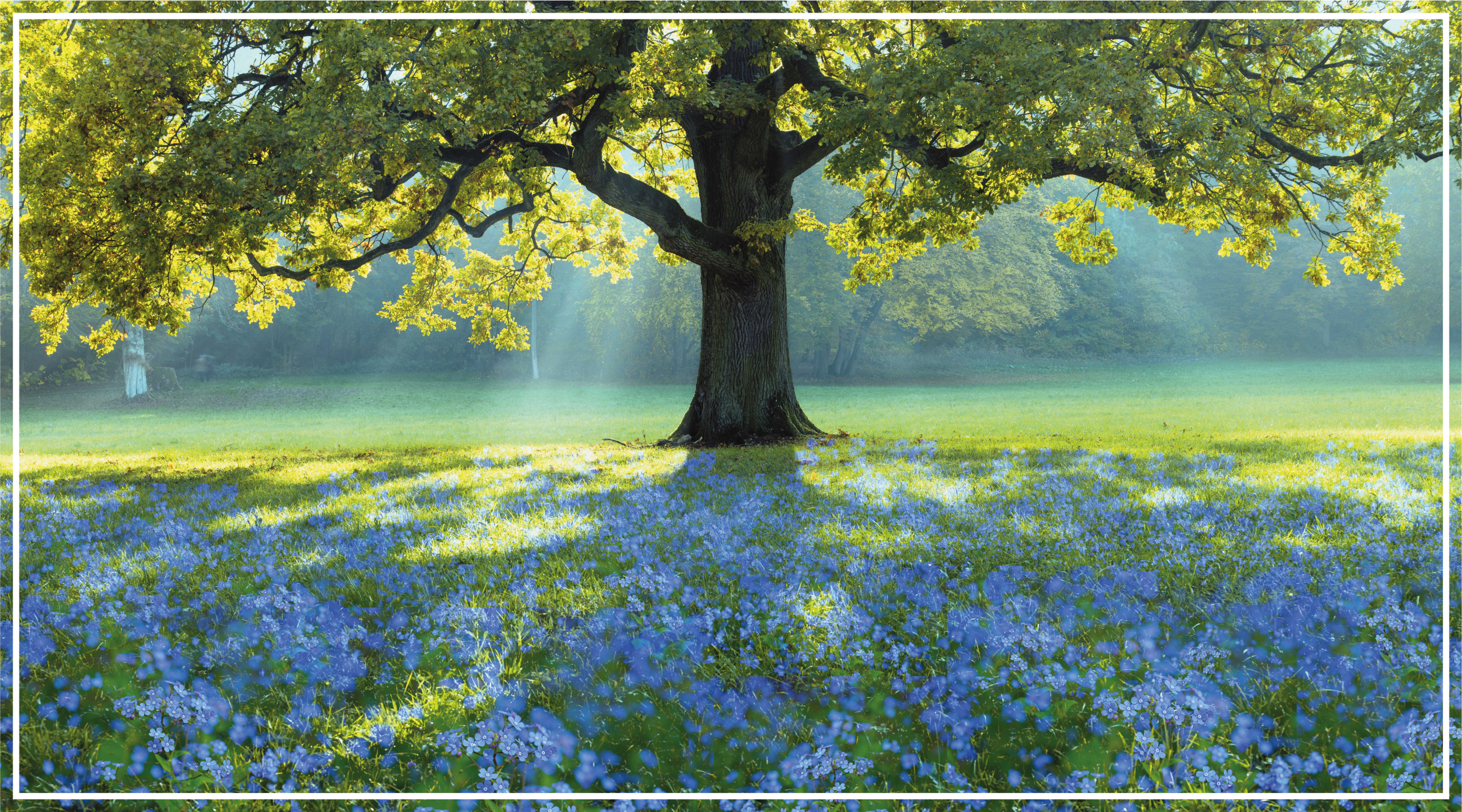 μπλε λουλούδια και ένα χαλί λουλουδιών δέντρων - TenStickers