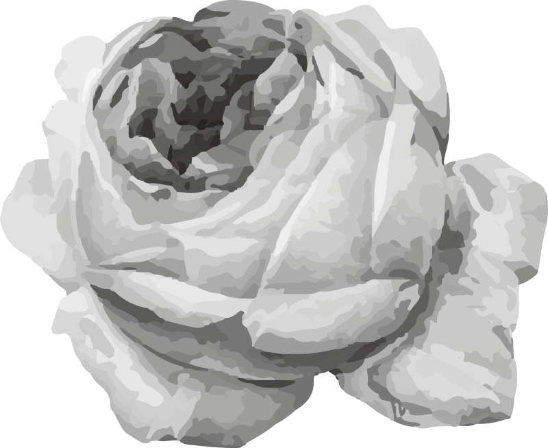 γκρι τριαντάφυλλο χαλί βινυλίου - TenStickers