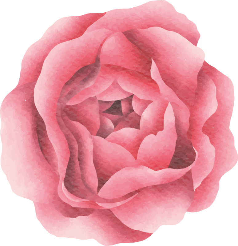 xαλί βινυλίου με λουλούδια ροζ άνθος - TenStickers