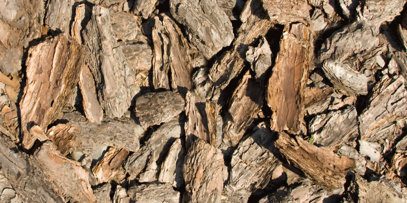 δάπεδο από ξύλο βινυλίου φυσικό σχεδιασμό φλοιού - TenStickers