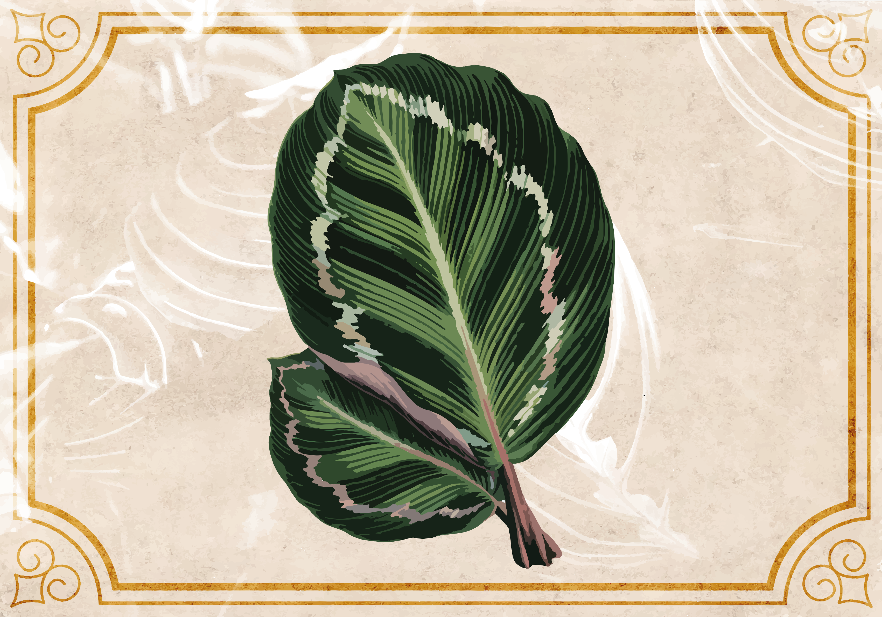 πράσινο κόκκινο μαράντα αφήνει λουλούδι χαλί - TenStickers