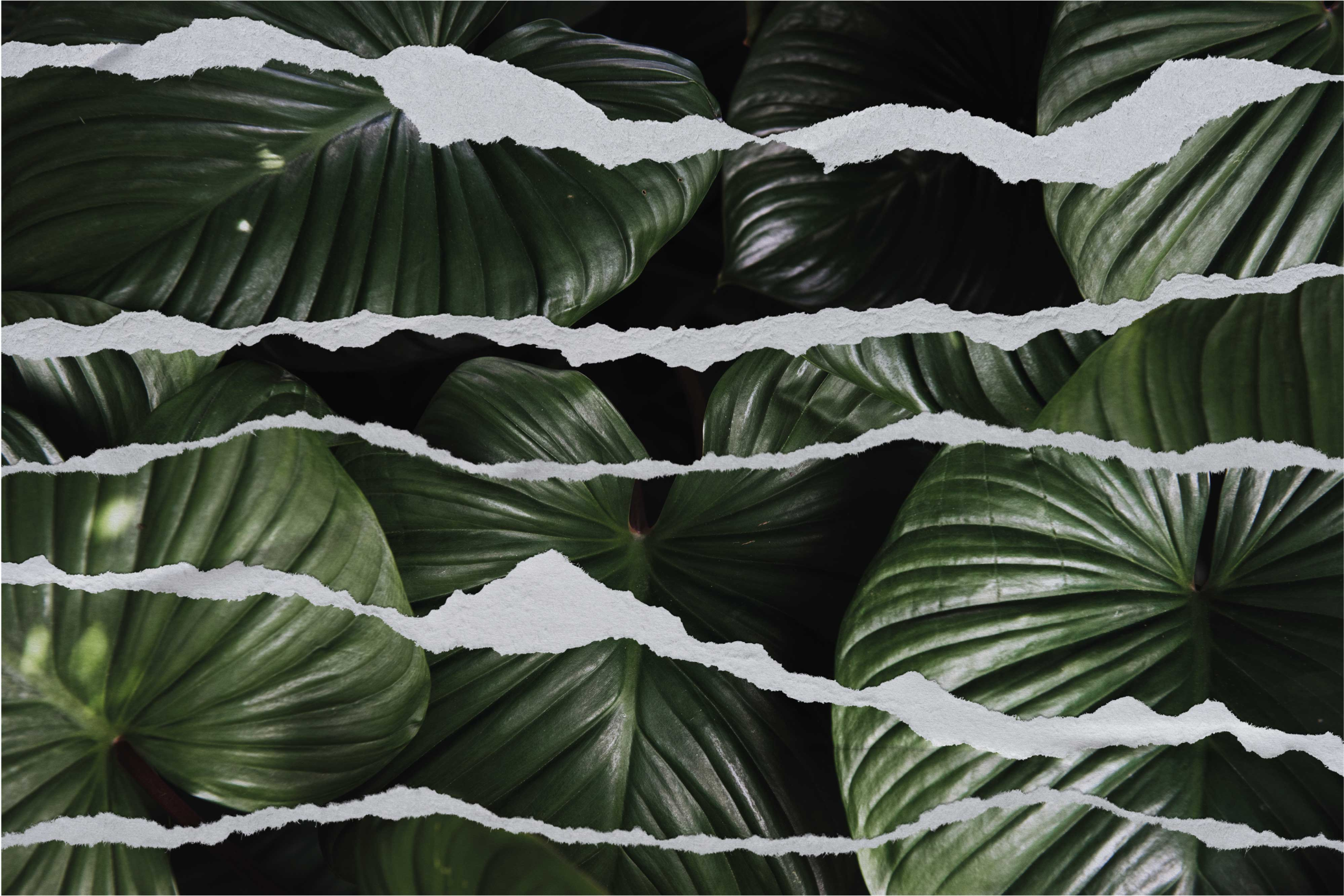 φύλλο φόντο με σκισμένο χαλί κρεβατοκάμαρας - TenStickers