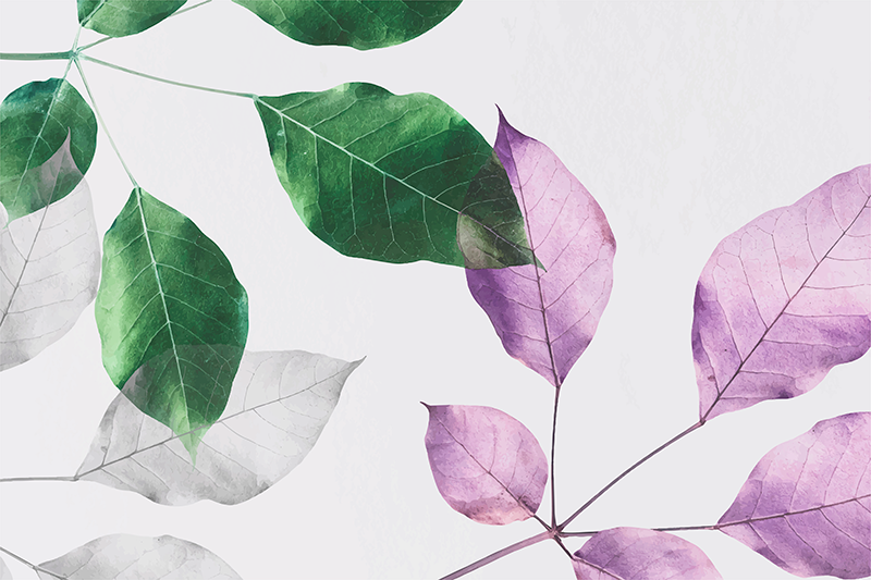 xαλί βινυλίου με λουλούδια φυλλώδεις βοτανικές εκτυπώσεις - TenStickers