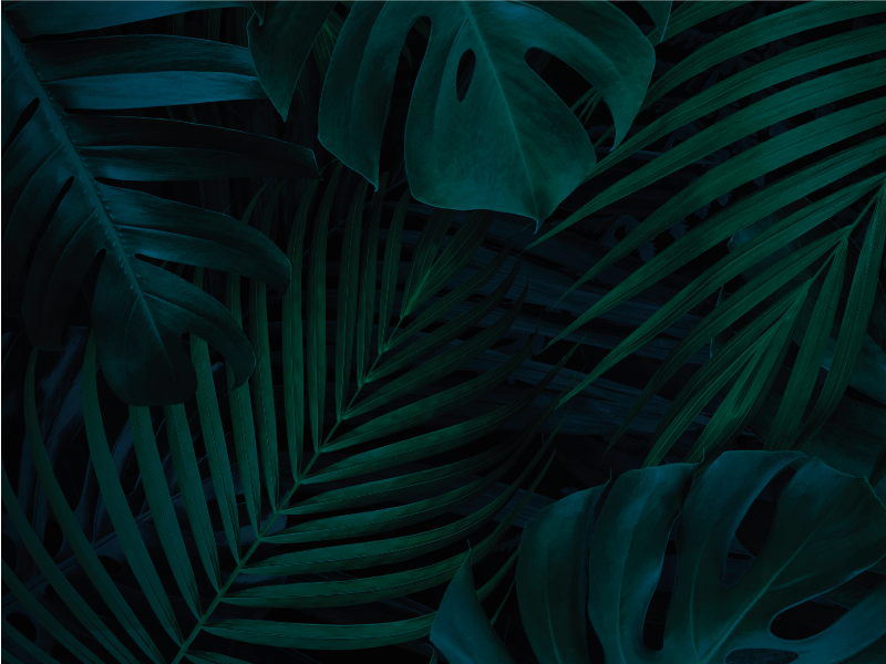 xαλί από βινύλιο με ανθοκομικά σχέδια τροπικό φύλλωμα - TenStickers