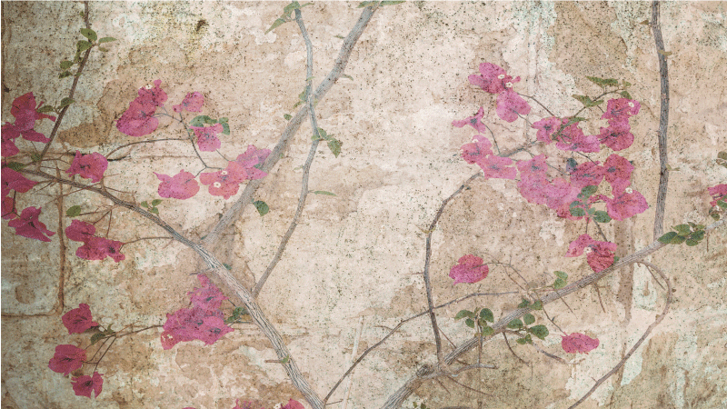 xαλί βινυλίου με λουλούδια επικάλυψη κλαδιού ανθέων - TenStickers