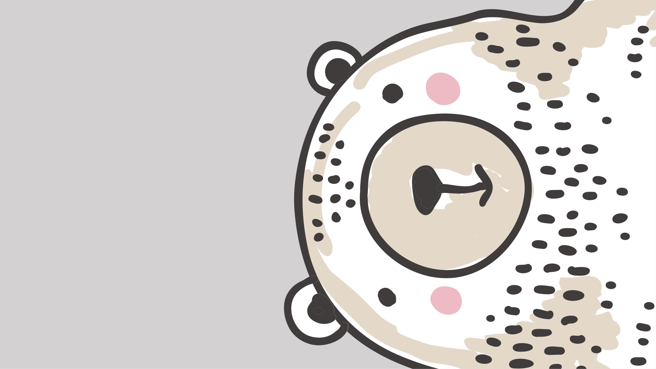 λευκή αρκούδα σε γκρι φόντο με ζώα χαλί - TenStickers