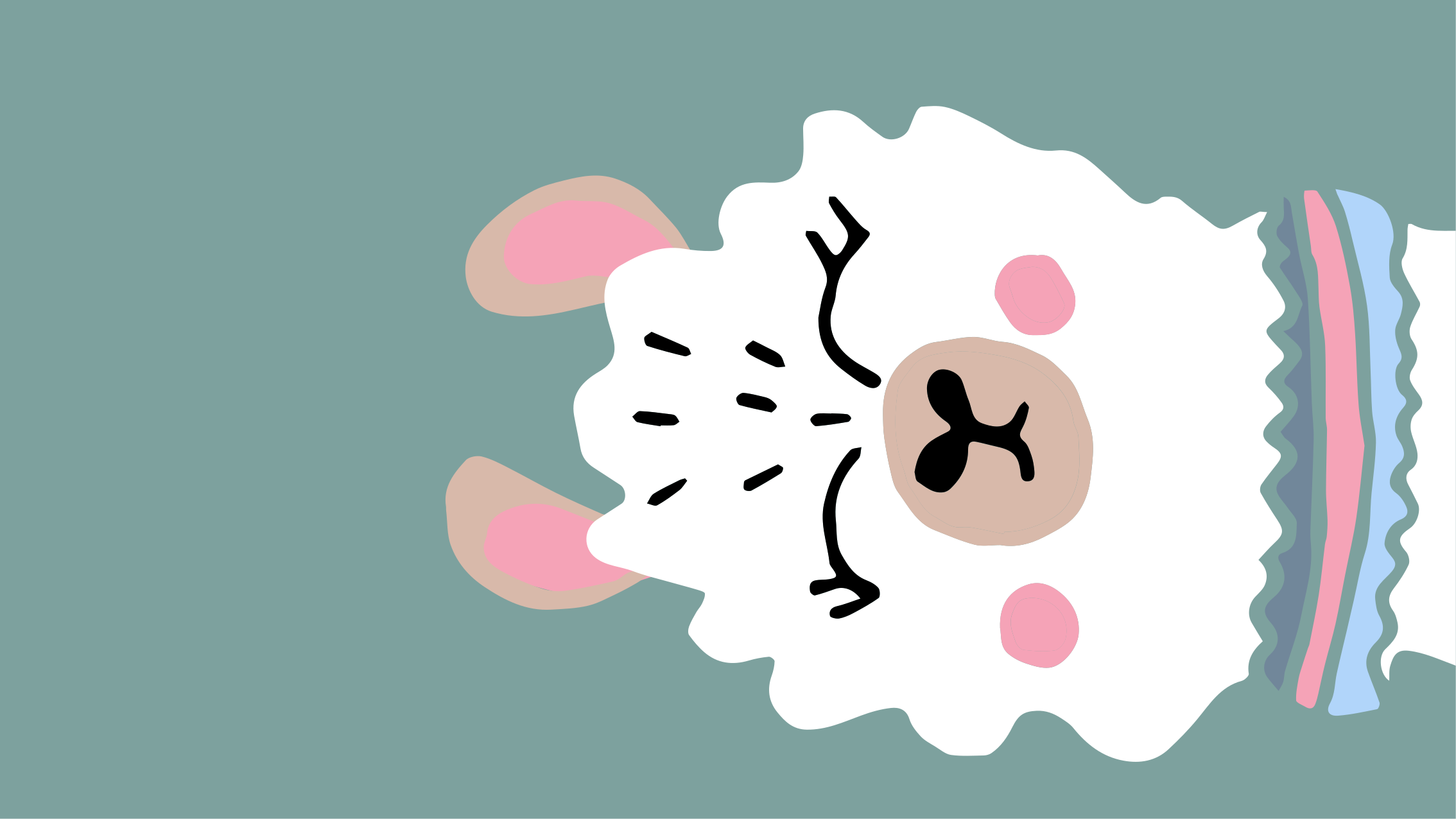 κανένα χαλί ζώου λάμα δράμα - TenStickers