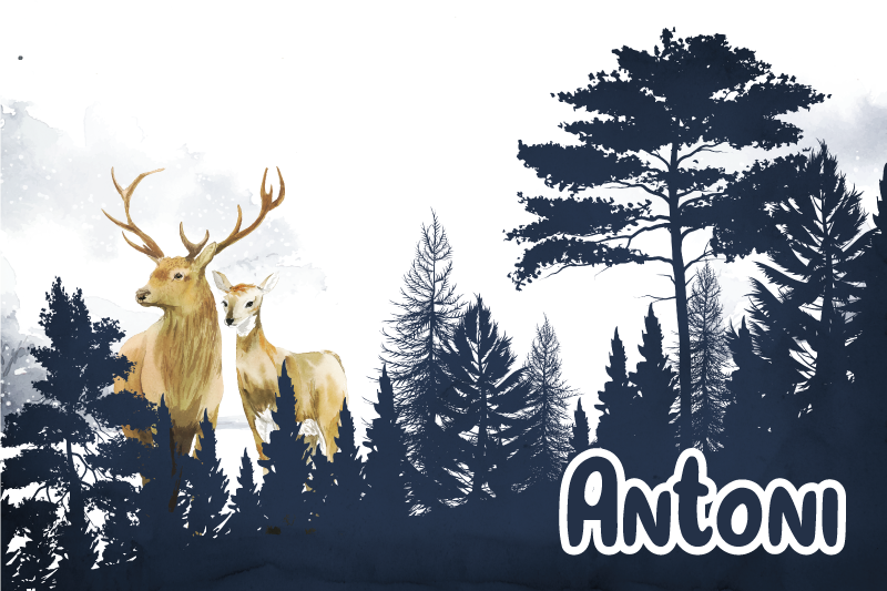 Βινυλιακό χαλί με όνομα σιλουέτα δασικής πανίδας - TenStickers