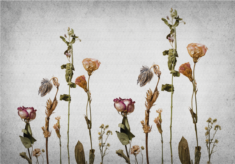 xαλί βινυλίου με λουλούδια βοτανικές εικόνες - TenStickers