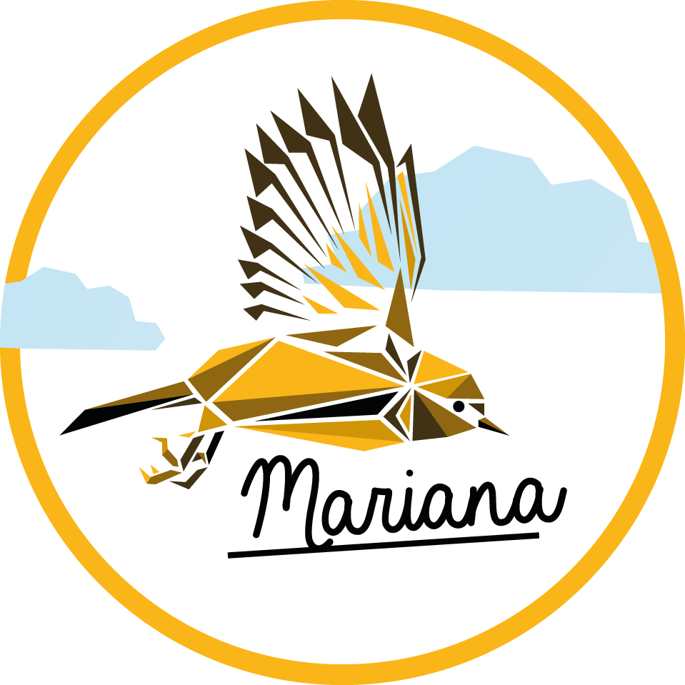 Βινυλιακό χαλί με όνομα εξατομικευμένο πουλί - TenStickers