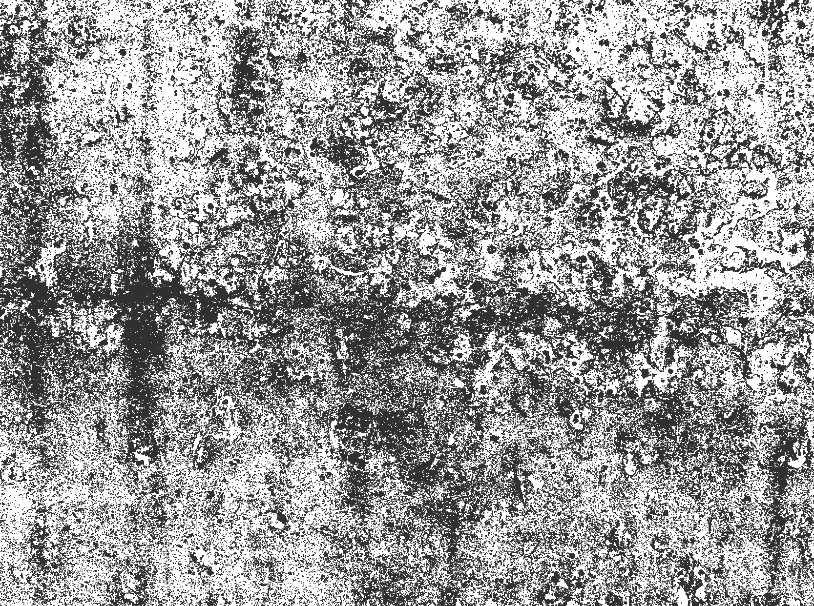 Βινυλιακό χαλί τραπεζαρίας ξεθωριασμένο γκρι - TenStickers