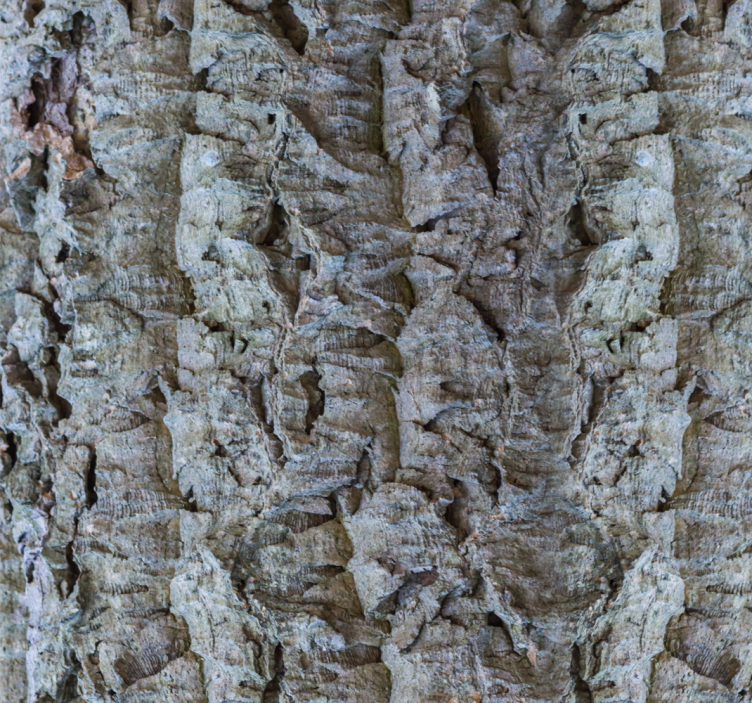 φελλό εφέ ανοιχτό γκρι μοντέρνα ταπετσαρία - TenStickers